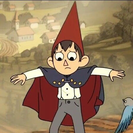 Wirt(OTGW)